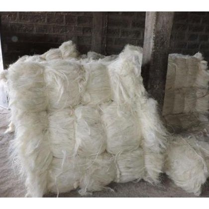 Sisal Fibre